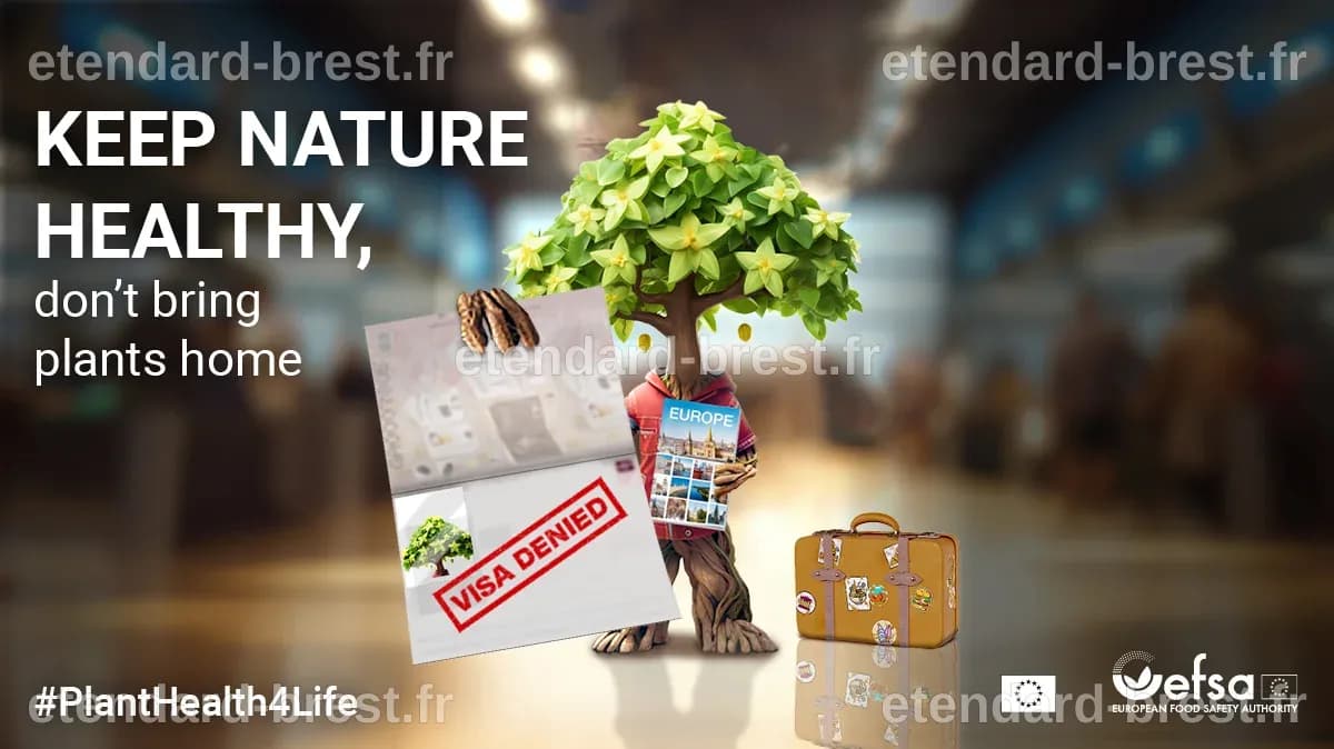 EFSA, European Commission and EU Member States launch #PlantHealth4Life ...