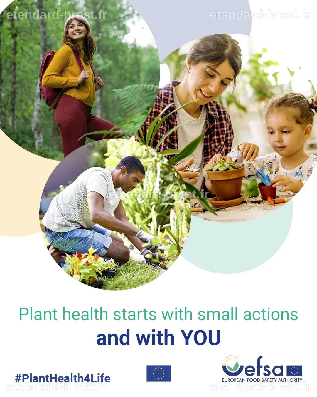 Santé des Plantes 4 Vie : Adoptez des Gestes Simples pour Sauvegarder la Nature
