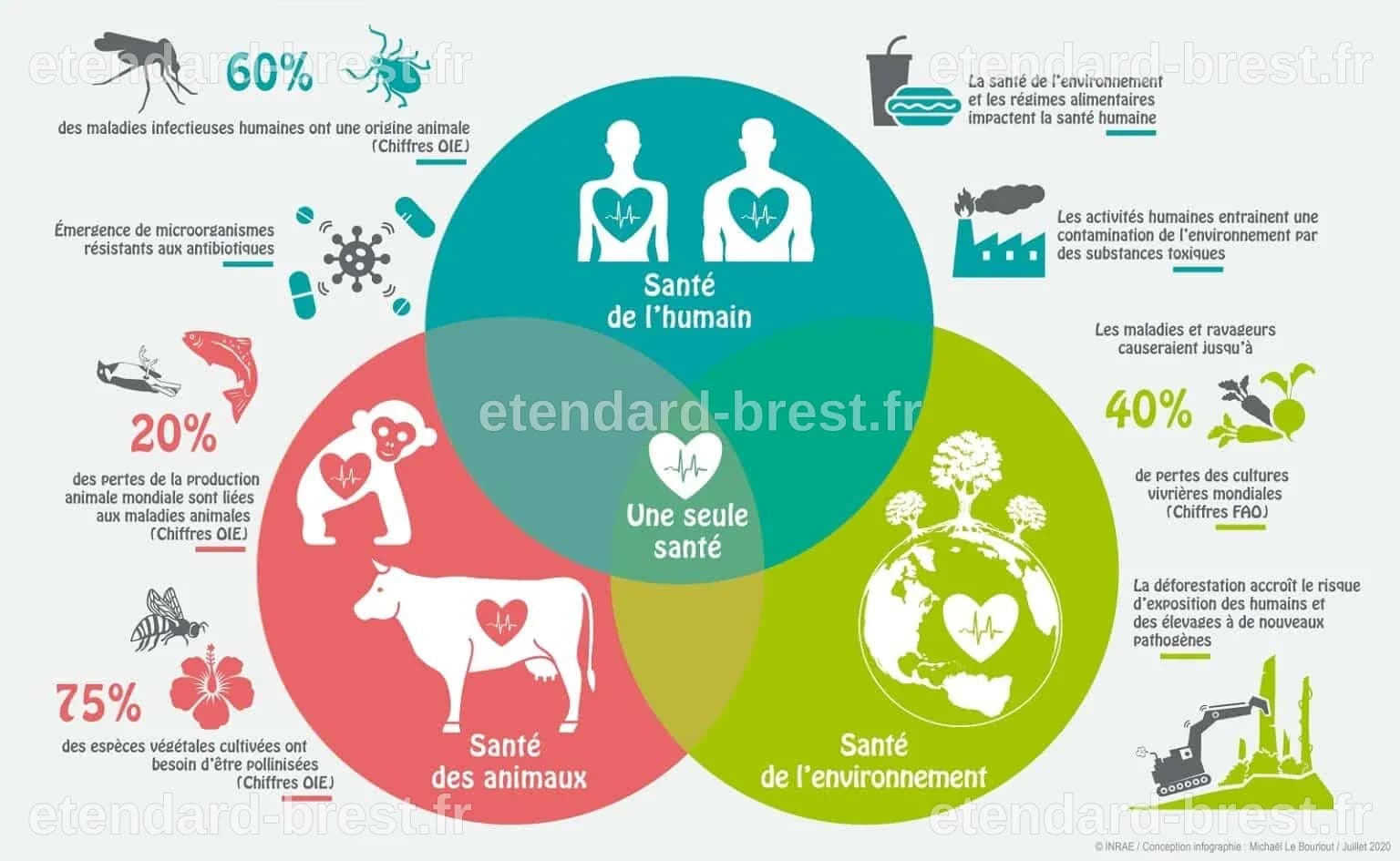 Sommet One Health : Les contradictions du leadership français mises en lumière