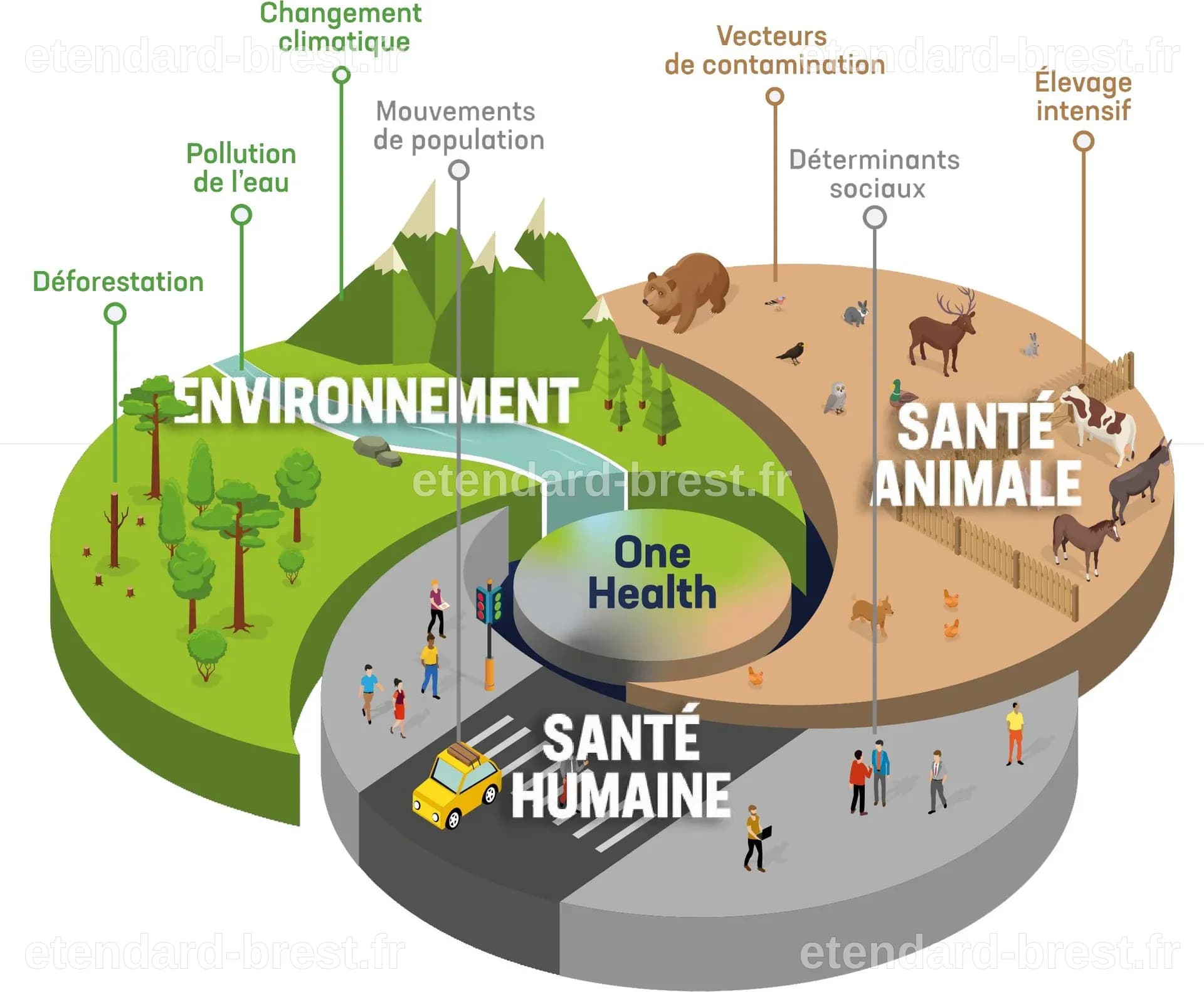One health, une santé, des ambitions - Espace Mendès France